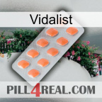 Vidalist 26